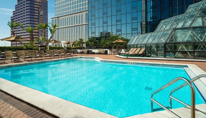 A serene outdoor swimming pool surrounded by sun loungers and palm trees is set against a backdrop of modern high-rise buildings and a clear blue sky