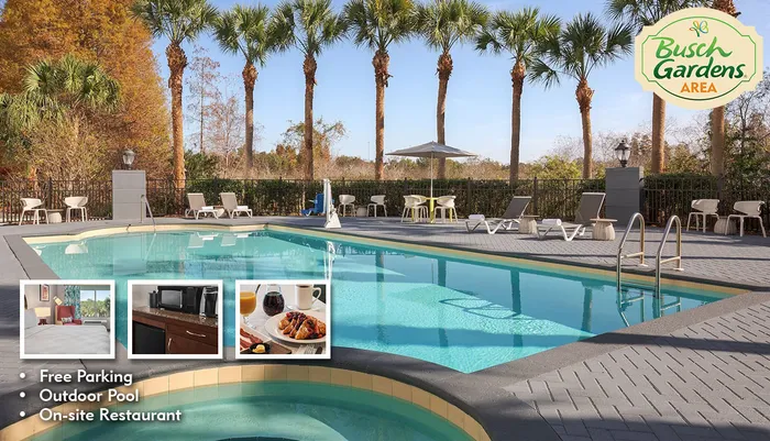 Hilton Garden Inn Tampa North Photo