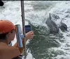 A person on a boat is capturing a moment on their smartphone where a dolphin appears to be playfully riding the wake beside the vessel