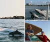 A dolphin is leaping out of the water near a moving boat with several passengers