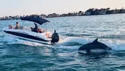 A dolphin is leaping out of the water near a moving boat with several passengers.