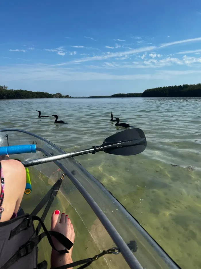 Clear Kayak Tours of Shell Key Photo