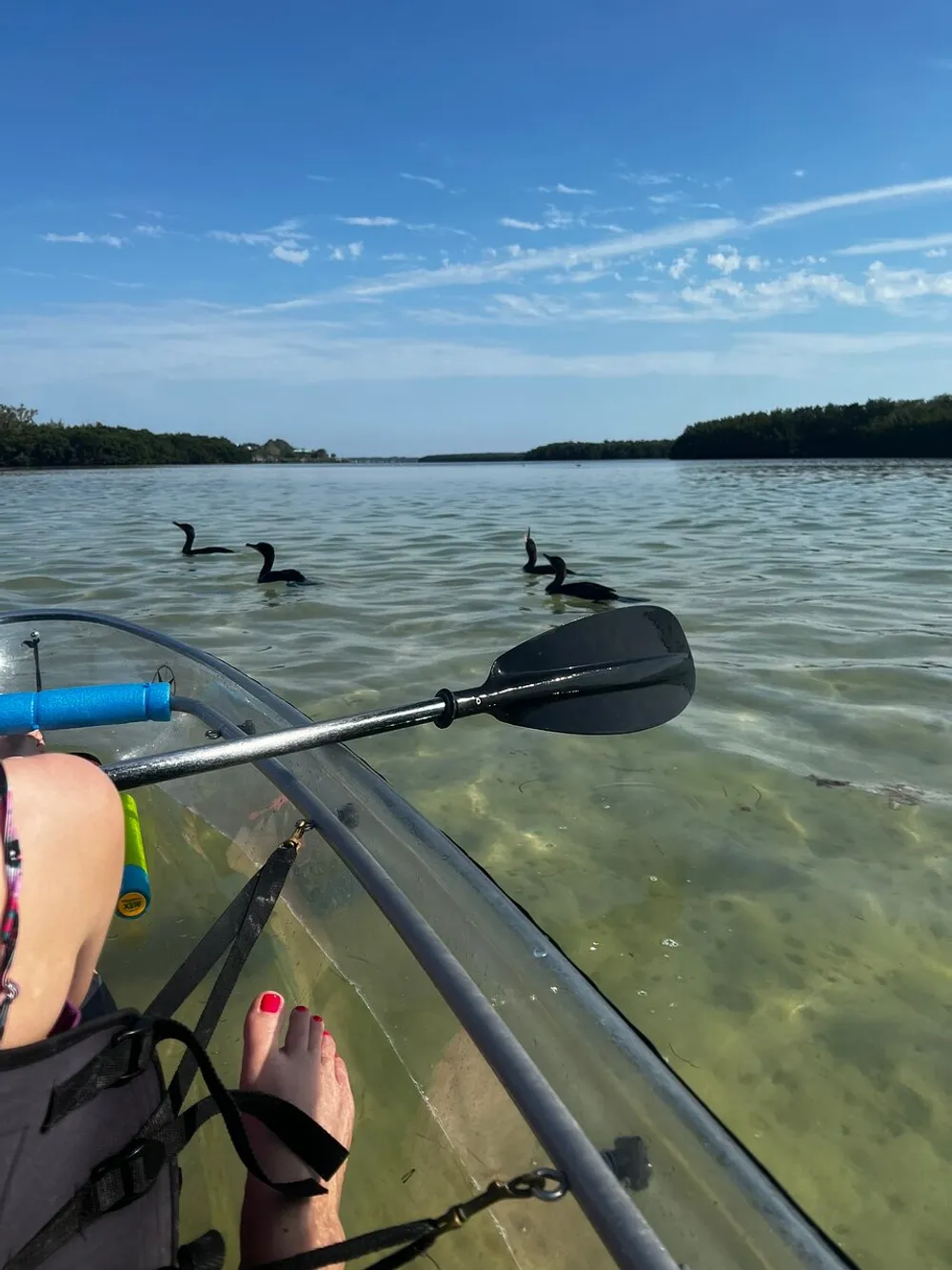 A person with painted toenails is kayaking in clear water while observing three birds swimming nearby