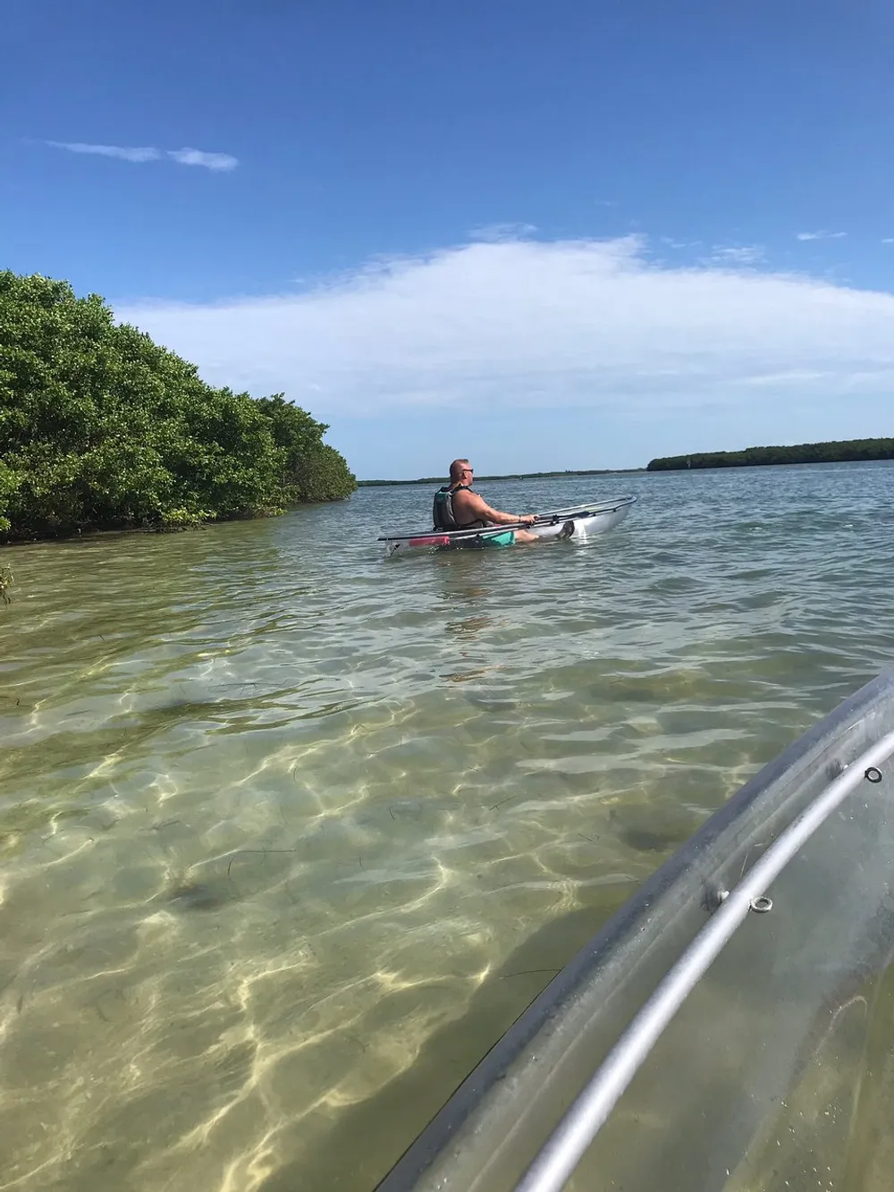 A person in a kayak is paddling through clear shallow waters near a cluster of mangroves