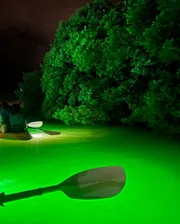 A group of people is kayaking at night with a strong green light illuminating the water and vegetation, creating an eerie atmosphere.