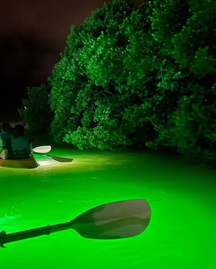 Kayak Adventure, Led Illuminated Glass Bottom Kayak Night Tour Clearwater Beach Photo