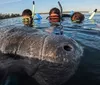 A person in a pink wetsuit is snorkeling underwater close to a large sea turtle