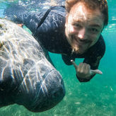 Snorkel Swim with Manatees Tour