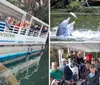 Three individuals on a boat are smiling and looking at a large marine animal which appears to be a manatee swimming in clear blue water