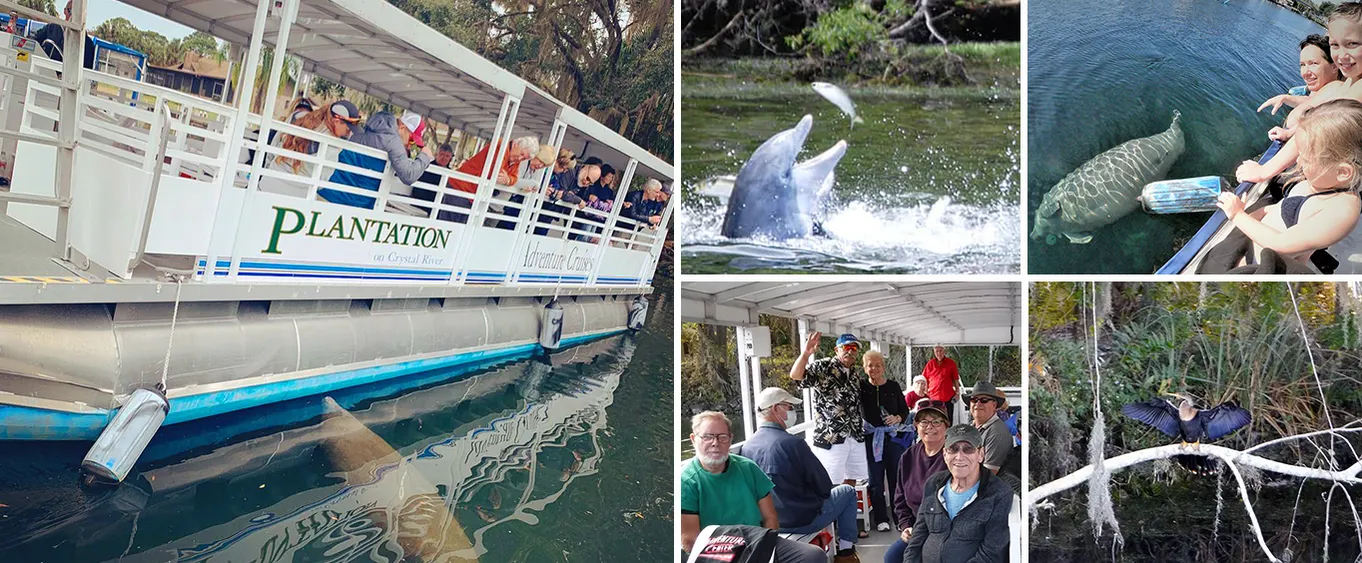 Scenic Cruise on Crystal River