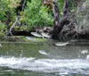 Three individuals on a boat are smiling and looking at a large marine animal which appears to be a manatee swimming in clear blue water