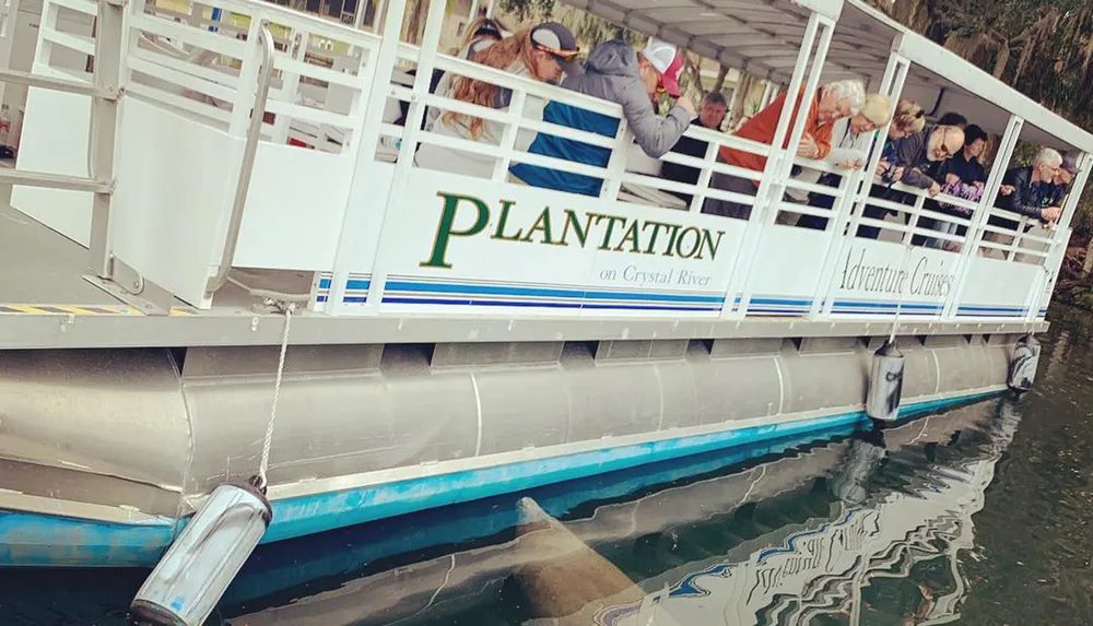 Passengers are aboard a boat named PLANTATION Adventure Cruises on Crystal River with some looking attentively towards the water