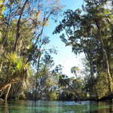 Scenic Cruise on Crystal River
