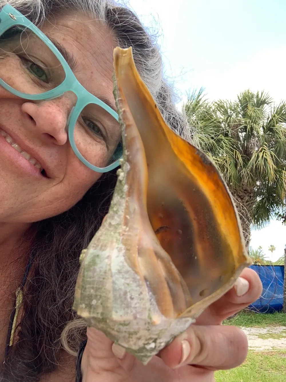 A person with turquoise glasses is holding up a large shell to the camera with palm trees in the background