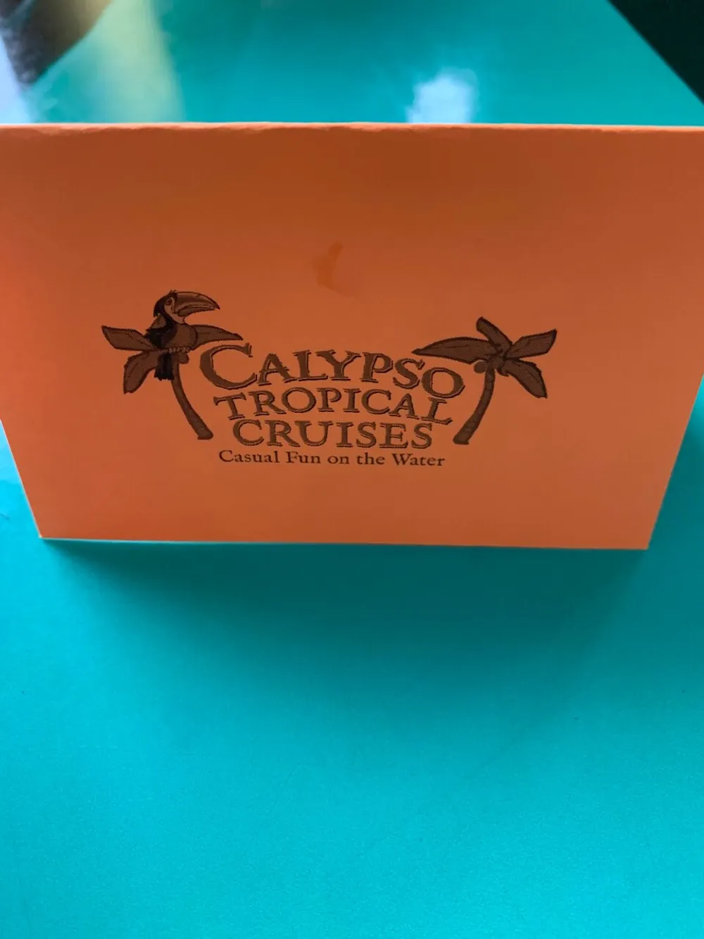 The image shows an orange card with the text CALYPSO TROPICAL CRUISES accompanied by graphics of palm trees and the tagline Casual Fun on the Water all resting on a teal surface
