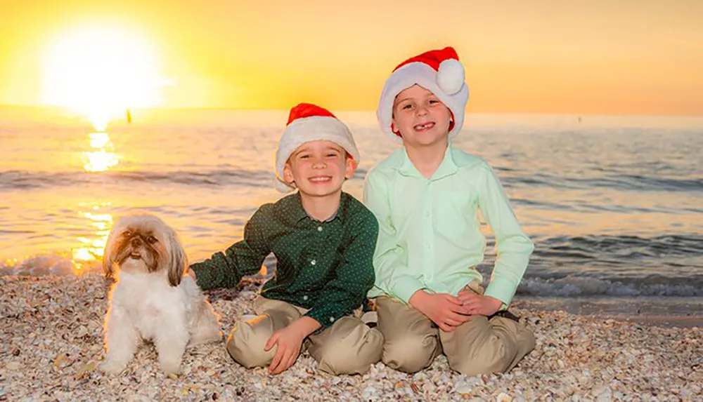 Two children and a dog wearing Santa hats are sitting on a beach at sunset