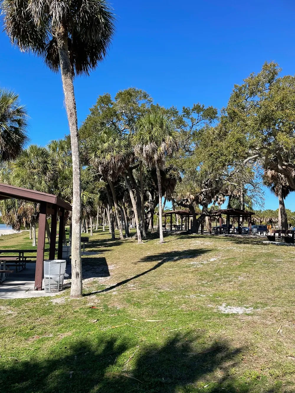 The image shows a sunny park with picnic tables surrounded by palm trees and live oaks suggesting a pleasant area for outdoor gatherings