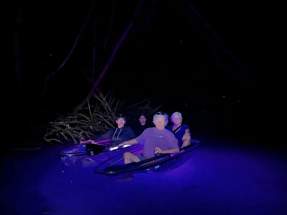Four individuals are seated in kayaks at night bathed in a purple light with dark surroundings highlighted by vegetation