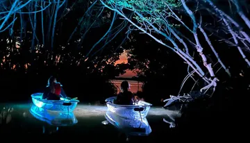 Three people are kayaking at dusk using transparent, illuminated kayaks that reflect a captivating blue light onto the surrounding water.
