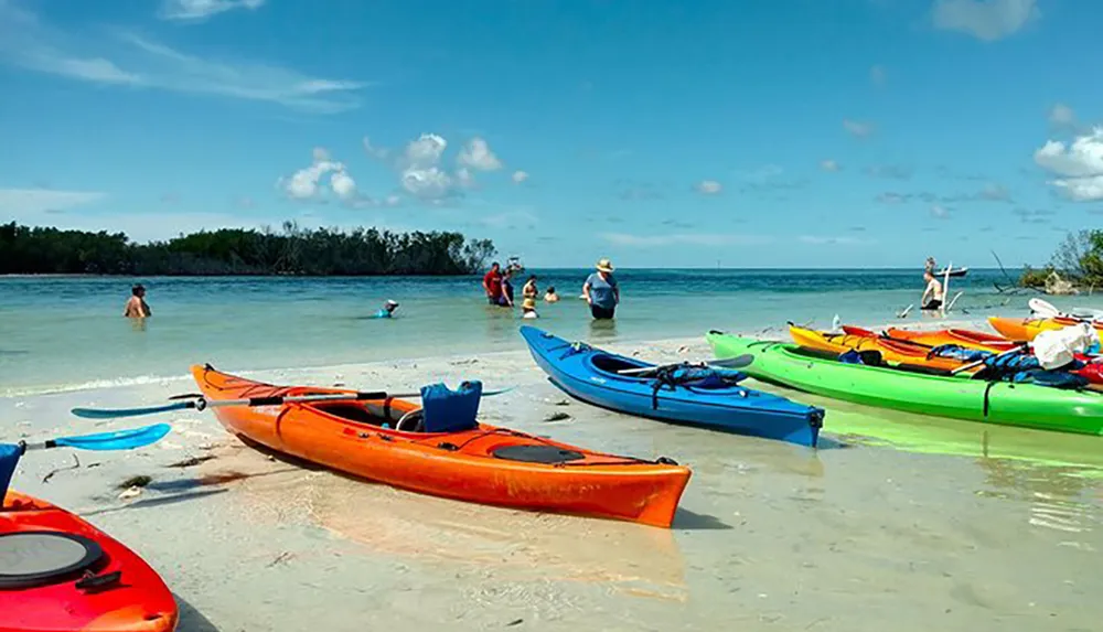 Colorful kayaks are scattered on a sandy beach where people are enjoying the water and sunny weather