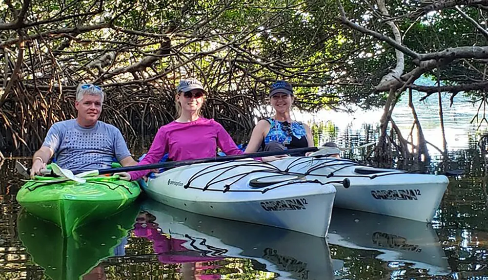Three people are smiling while sitting on two kayaks among mangroves with calm waters reflecting the scene