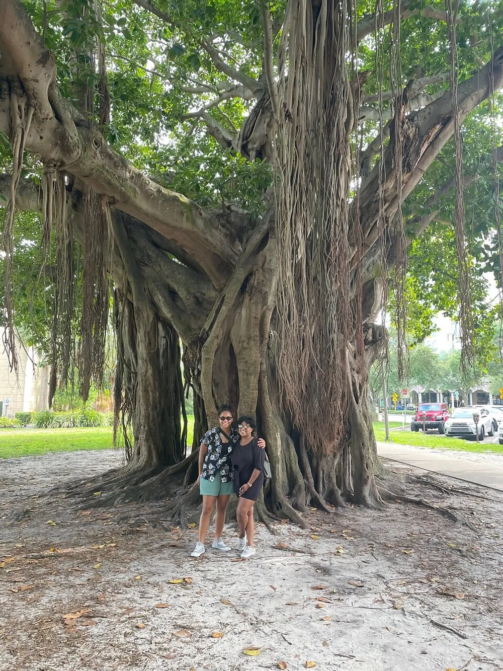 Two individuals are standing in front of an ancient and extensively rooted banyan tree