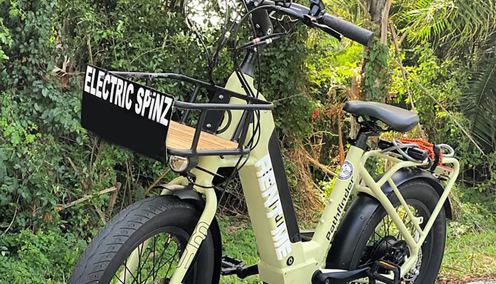 The image shows a modern electric bike with fat tires parked in a lush green area