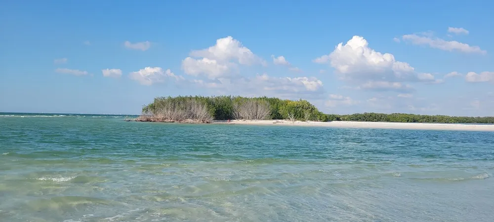 The image depicts a tranquil beach scene with clear greenish water in the foreground a small island with green foliage in the middle and a blue sky with fluffy white clouds above