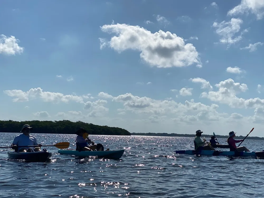 A group of people is enjoying a sunny day out kayaking on a sparkling body of water flanked by a treeline and accompanied by a sky dotted with fluffy clouds