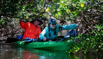 Two people are happily kayaking through a lush mangrove tunnel.
