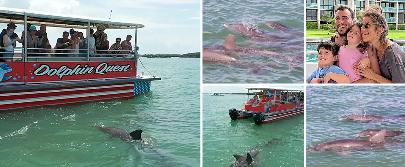 Dolphin Sightseeing & Sunset Cruises in Madeira Beach, FL