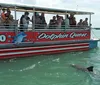 A group of passengers on a Dolphin Quest tour boat are watching a dolphin swimming in the water beside them