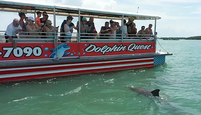 Dolphin Sightseeing & Sunset Cruises in Madeira Beach, FL Photo