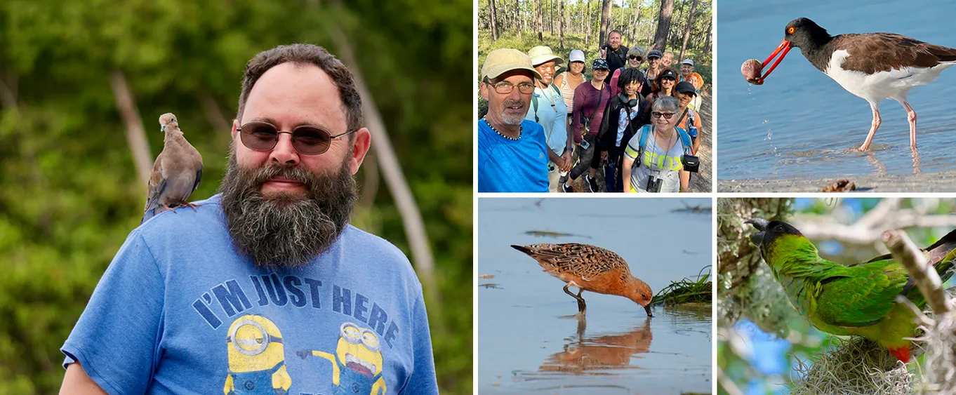 Half-Day Private Bird Tour of Fort De Soto Park in St. Petersburg