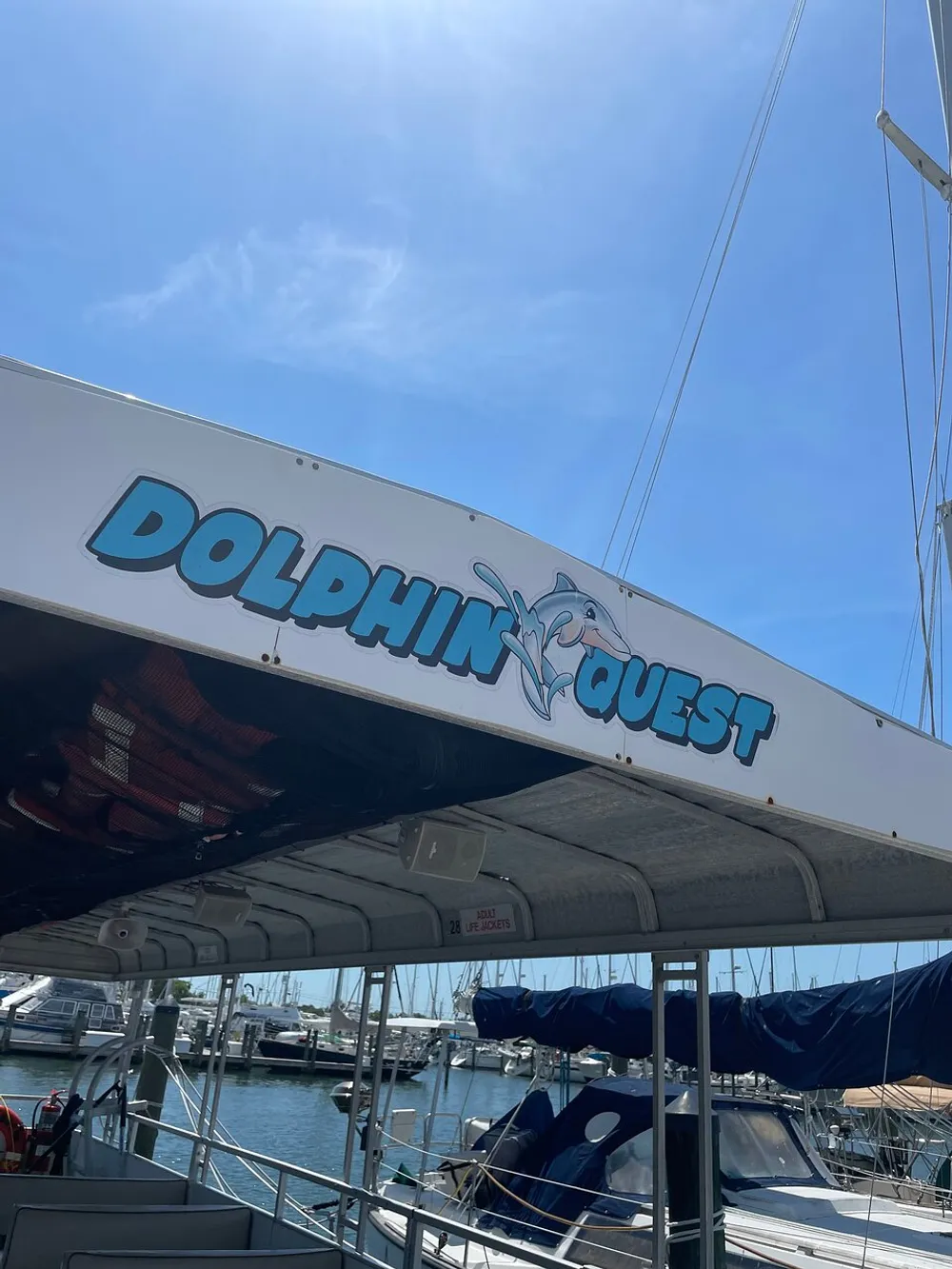 The image shows the side of a boat named Dolphin Quest docked at a marina with clear blue skies above and various other boats in the background
