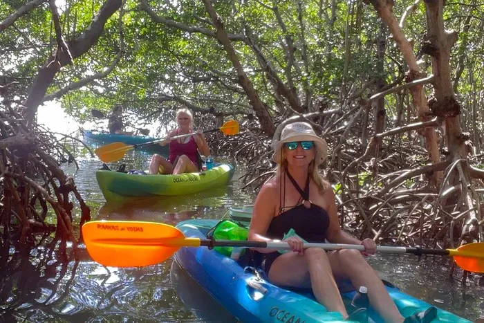 Private Kayak Adventure Via Mangrove Tunnels in Tierra Verde Photo