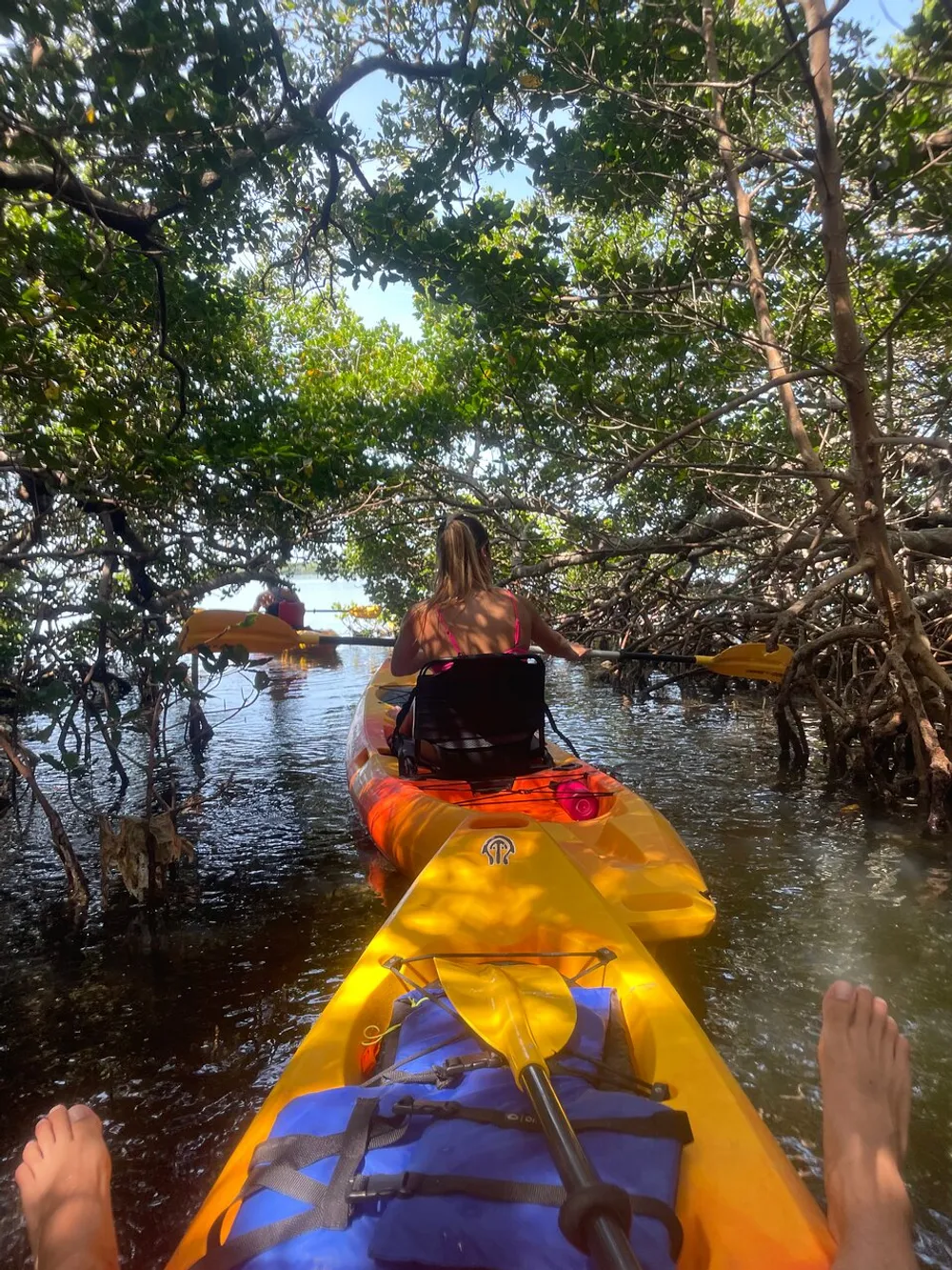 A person kayaking through a mangrove forest with other kayakers ahead and a view of the paddlers legs extending towards the bow of the kayak