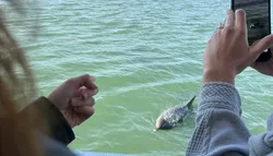 Popular Water Adventures