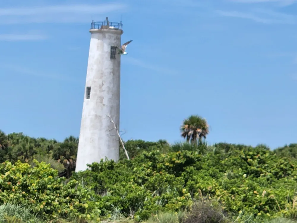 A weathered lighthouse stands amid lush green foliage under a blue sky