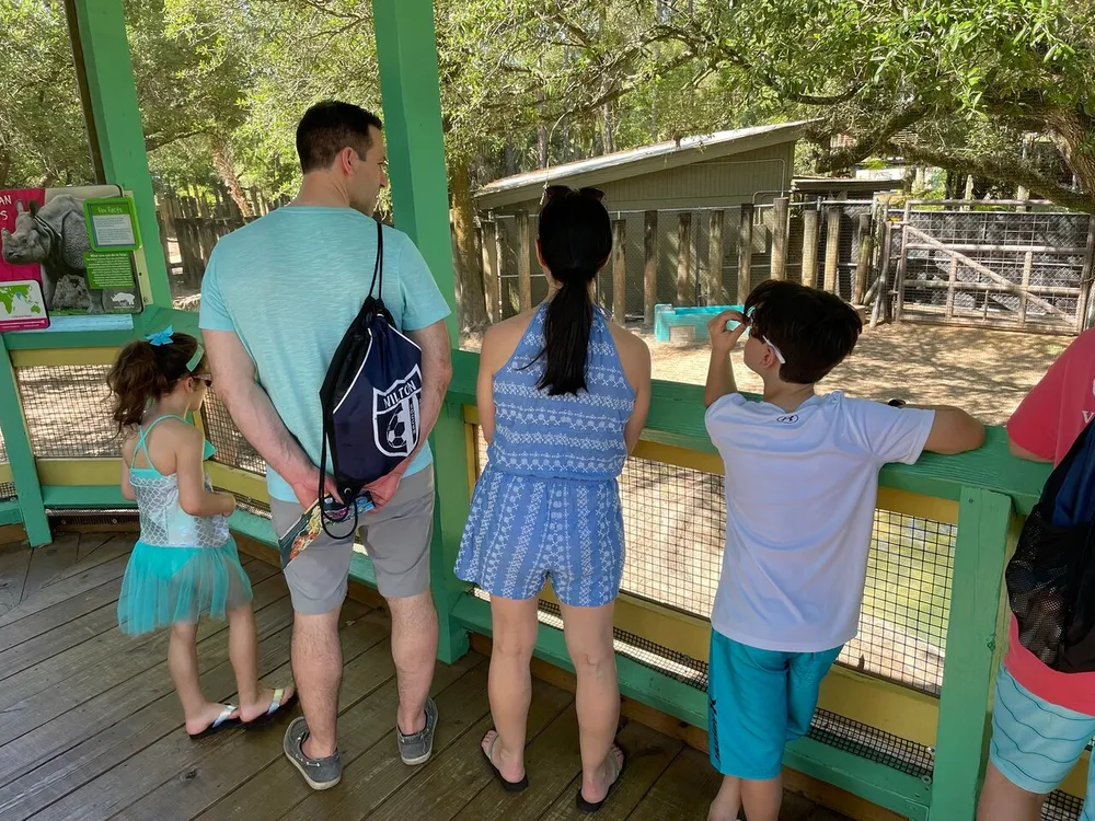 Several people including a little girl in a turquoise dress a man and two others look at an enclosure in a zoo-like setting