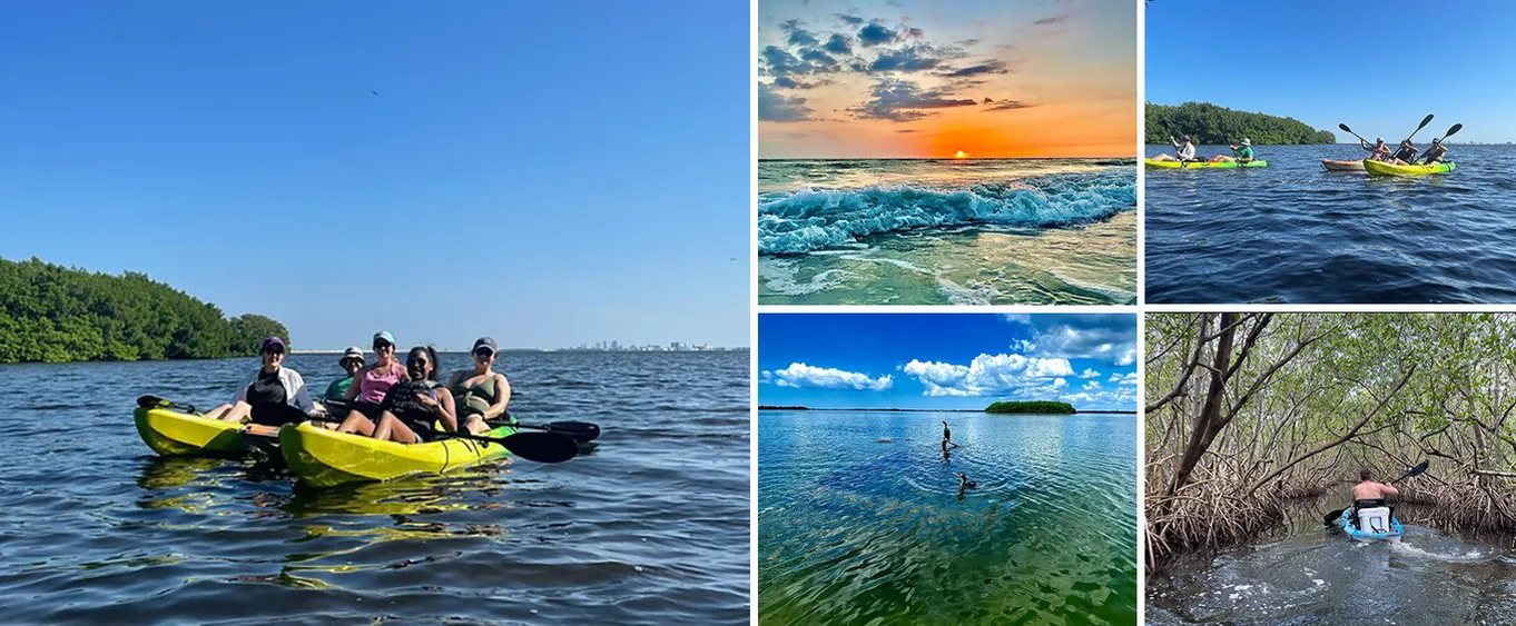 Kayak Adventure at Shell Key Preserve in Tierra Verde