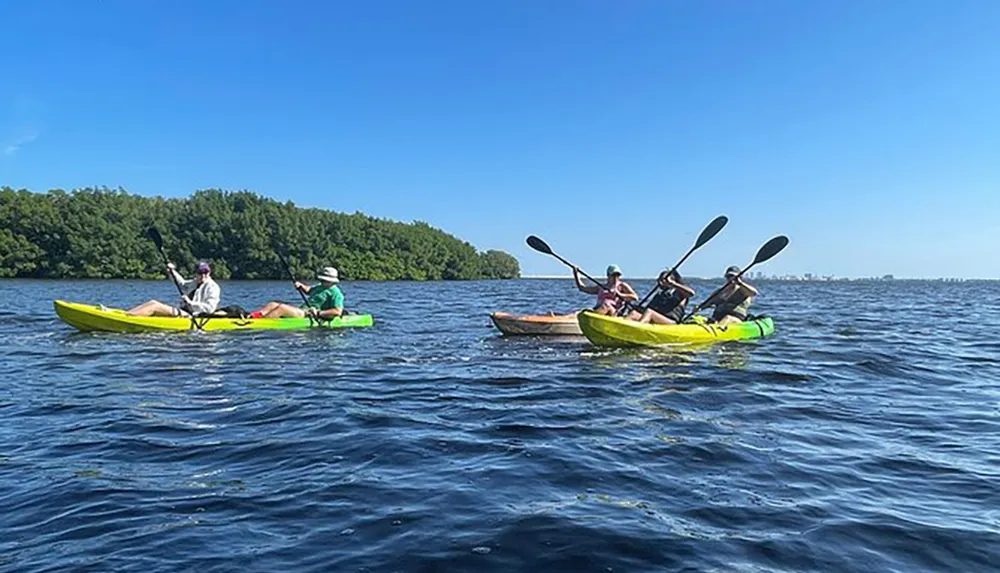 A group of people is enjoying kayaking together on a sunny day in a body of water with a forested shoreline in the background