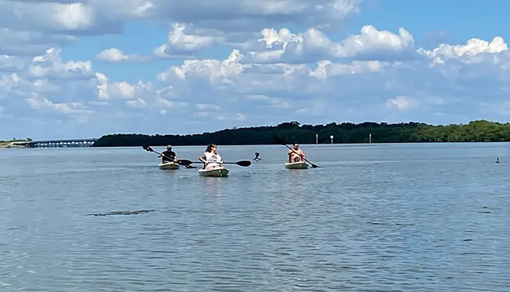 Three people are kayaking on calm waters with a distant shoreline under a partly cloudy sky