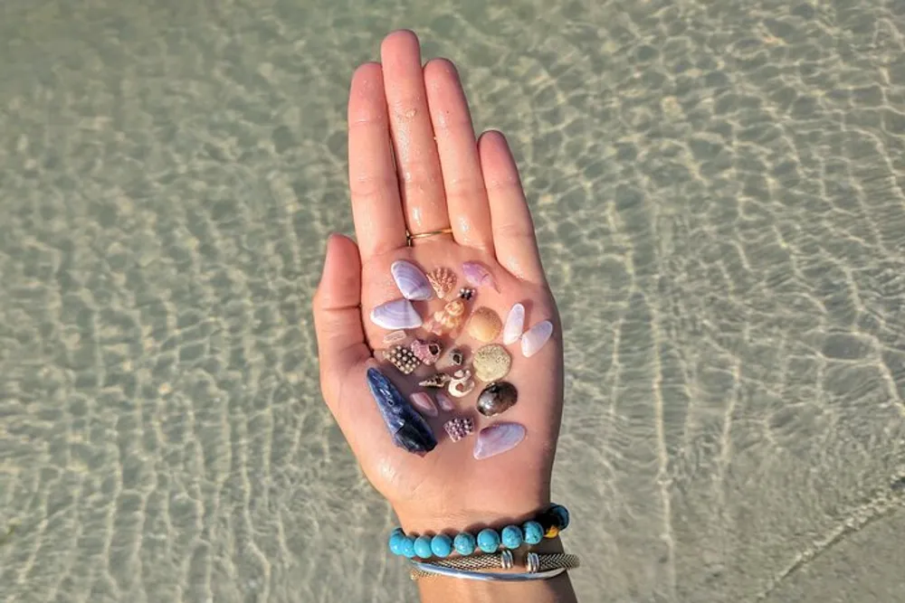 A person is holding a collection of colorful seashells on their palm against a background of shallow clear water