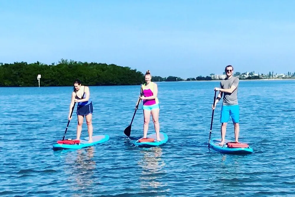 Three people are stand-up paddleboarding on calm water with clear skies above them