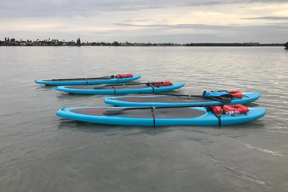 A group of five blue and red paddleboards are floating on calm water with a cloudy sky overhead and a shoreline in the distance