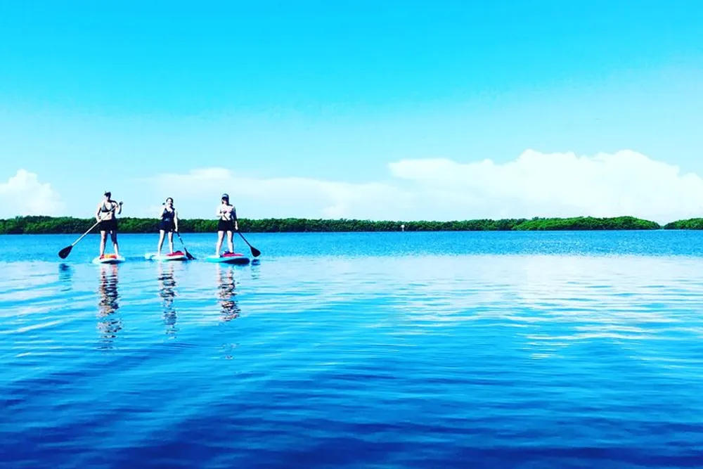 Three people are stand-up paddleboarding on a calm blue body of water against a backdrop of clear sky and lush greenery