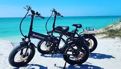 Popular Bike Rentals