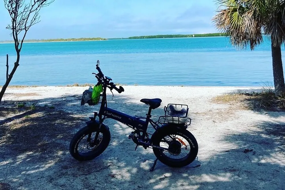 An electric bicycle is parked along a sandy shore overlooking a tranquil blue lake with greenery in the distance