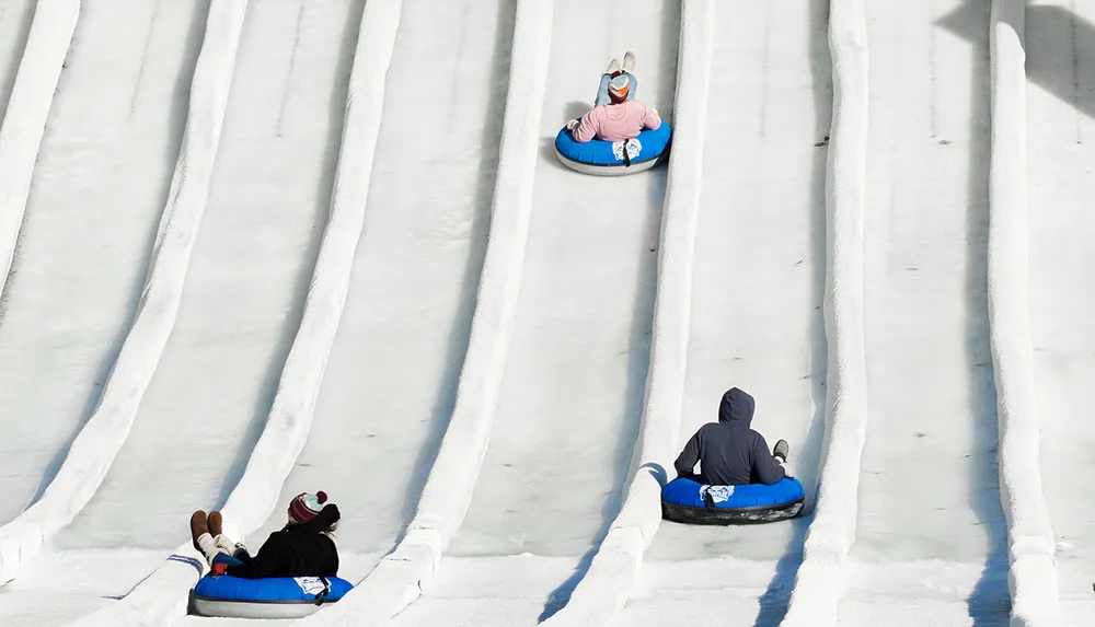 Two people are sliding down a snow-covered tubing hill on blue inflatable tubes